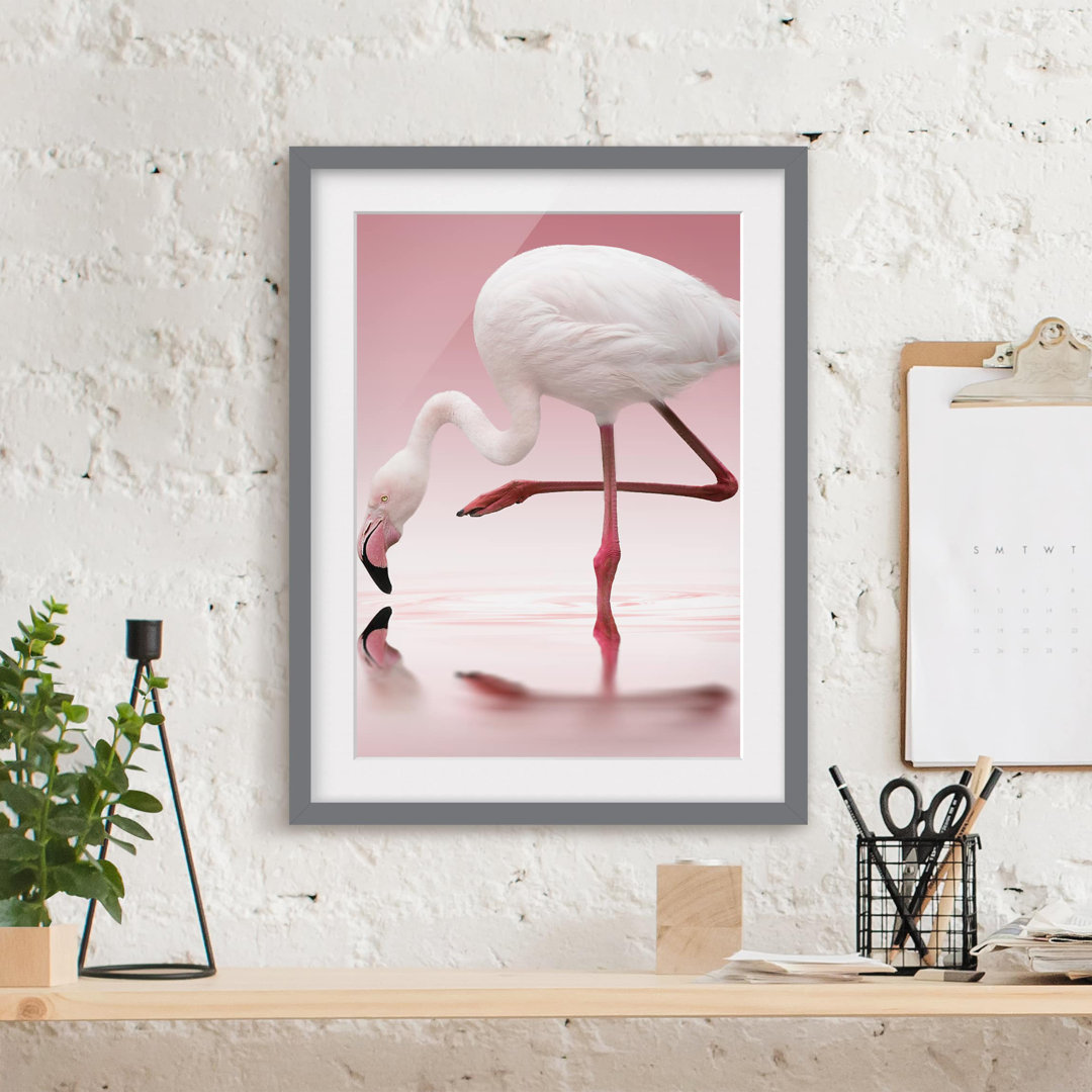 Gerahmtes Poster Flamingo Dance