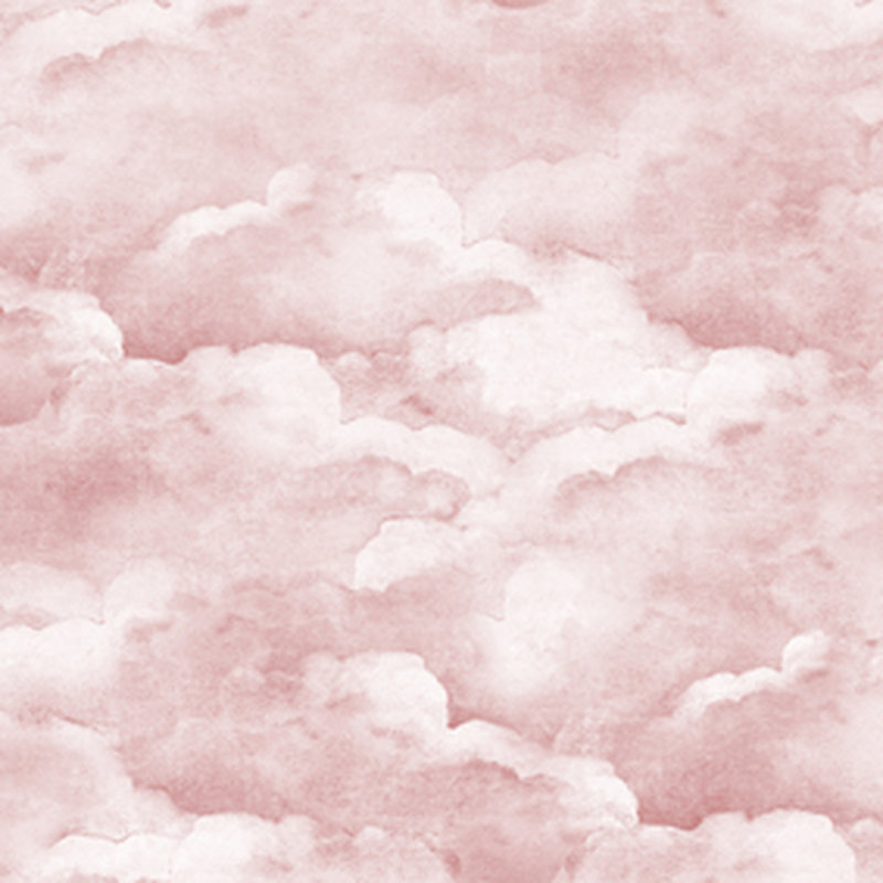 Ramilla 10m x 90cm Matte Paste the Wall Wallpaper Roll, Dusty Pink