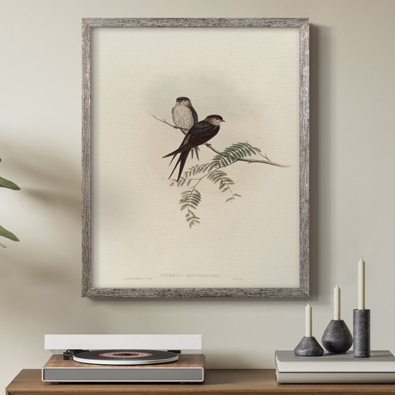 «Vintage Animal Print», impression encadrée en bois massif