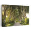 «Golden Alley», reproduction d'art contemporain de paysage forestier abstrait-168452188