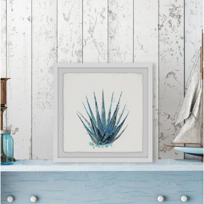 " Agave II "