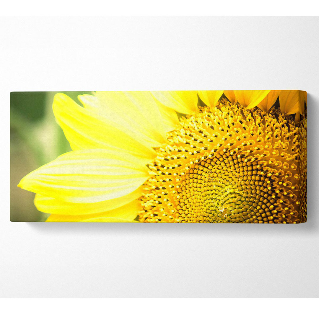 Sonnenblume Close-Up - Leinwanddrucke auf Leinwand