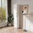 Freestanding Cabinet with Inadjustable Shelves and Doors
