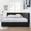 Cadre de lit double capitonné double, cadre de canapé-lit avec dossier confortable et accoudoirs, lit double pour chambre à coucher, salon, velours, noir (80,5 po x 59 po x 30,5 po)-314021061-314021057