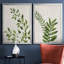 «Botanical Wash I», ensemble de 2 reproductions d'art sur toiles-455244299-455244307-455244318