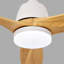 Ventilateur de plafond 52 pouces intérieur doré avec lumière DEL à intensité variable 3 pales en bois massif avec moteur à courant continu réversible-126007621