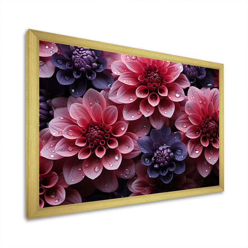 Majestic dahlia rose I - imprimé, H 24 po x l 32 po x P 1 po, Cadre doré à une seule photo