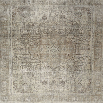 Ashmont Oriental Indoor Rug