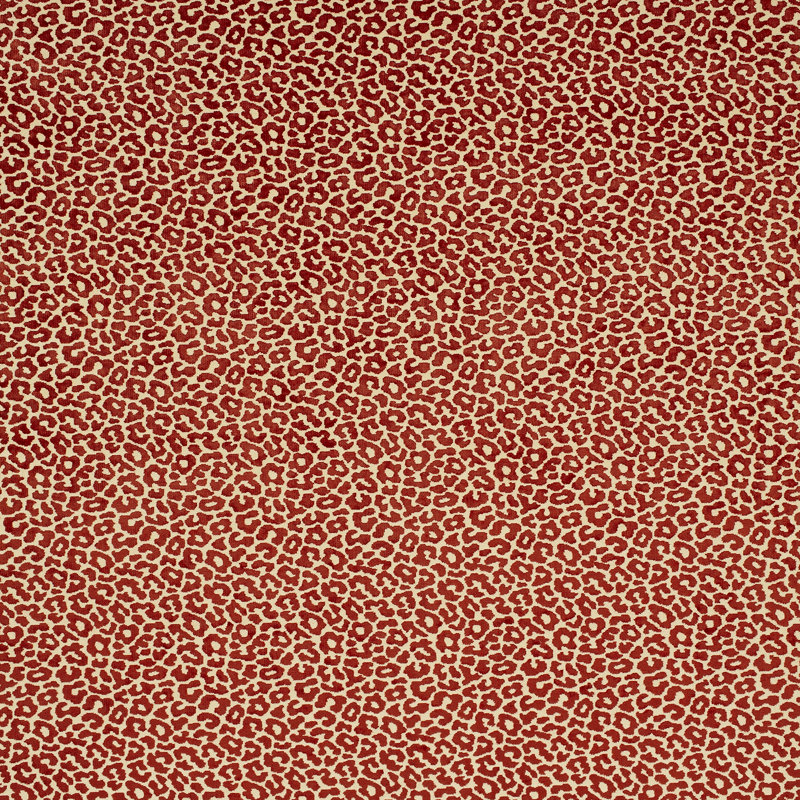 Tissu en velours Schumacher x Timothy Corrigan, Grenadine