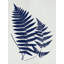 Art sur toile tendue par Red Barrel Studio® Lavoie, Tina Gallery, Indigo Fern Botanical II-1355397687