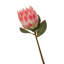 Fiori Protea Arrangement