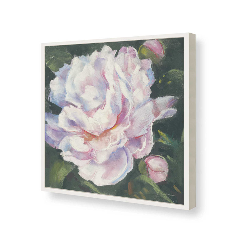 «Peony III» par Carol Rowan, reproduction d'art, H 12 po x l 12 po, Blanc