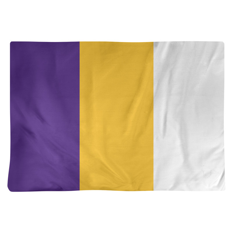 Récapitulatif 18" à rayures de football Minnesota, Or