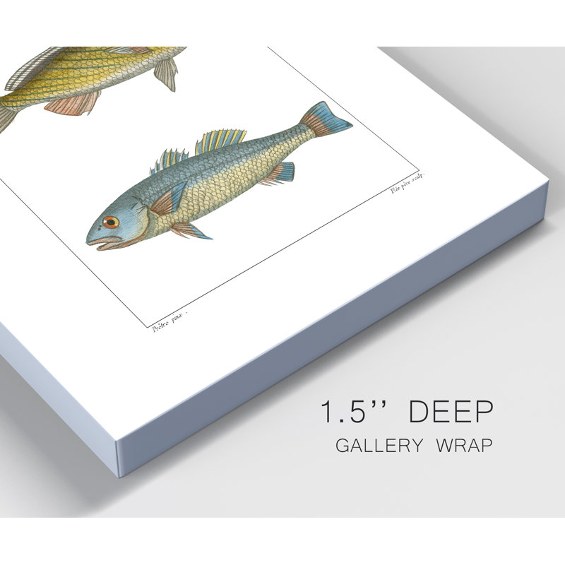 Reproduction d’art sur toile tendue « Hot Fish I », H 20 po x l 16 po x P 1 po