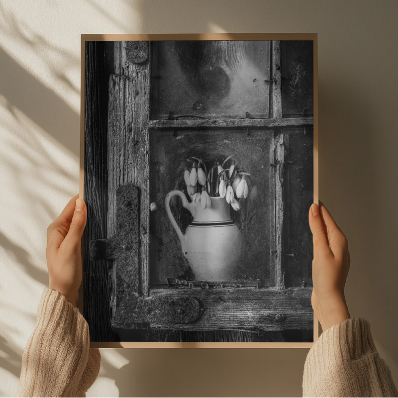 Wrapped Canvas Print, 50.8 cm H x 76.2 cm W