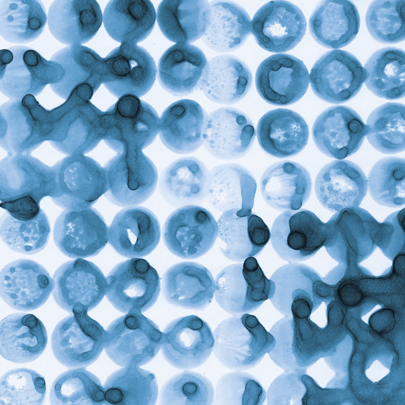 Kanari Square II Indigo by Melissa Averinos - Wrapped Canvas Print, 30cm H x 30cm W x 3.8cm D
