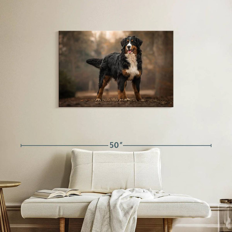 Brampt Bernese Mountain Dog, 24" H x 36" W