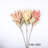 Protea Cynaroides Floral Arrangement Long Stem