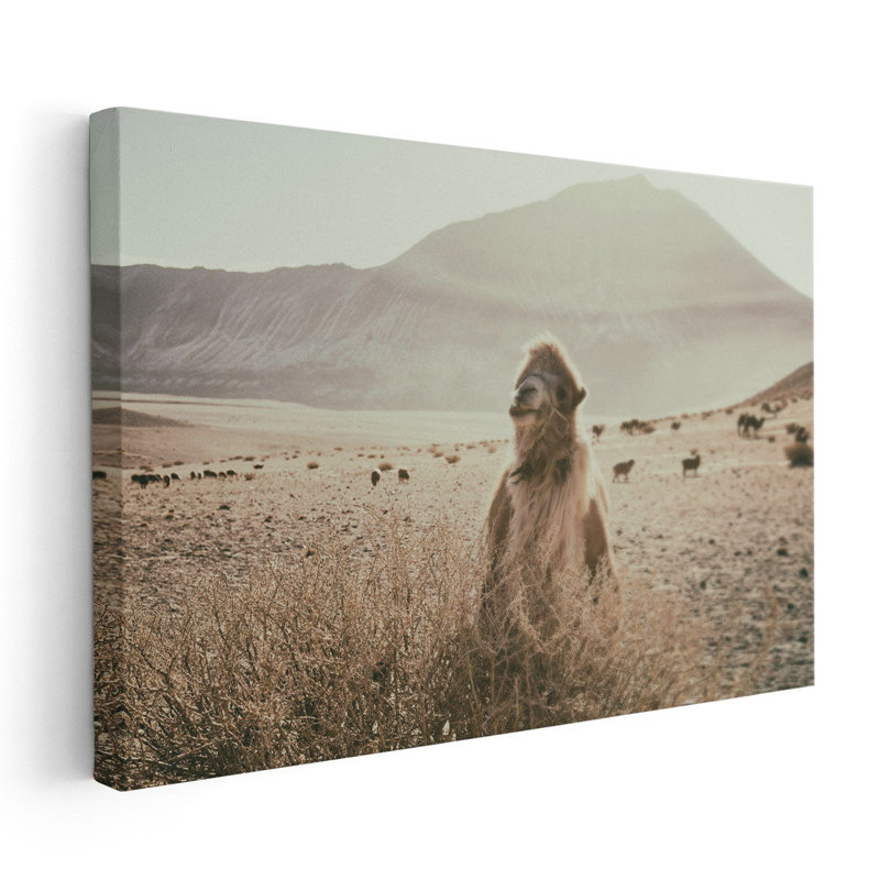 Desert Camel - Canvas Print Wall Art, 20" H x 30" W