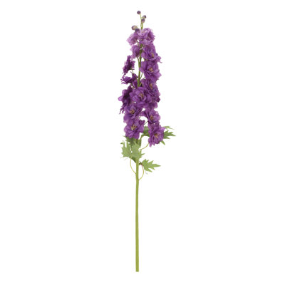 Delphinium - 35.5 Inches Box of 12