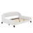Full Size Modern Luxury Tufted Button Daybed-911406480