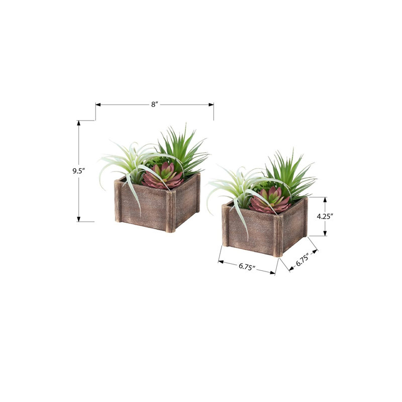 Artificial Succulent