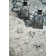 Abbie Oriental Area Rug