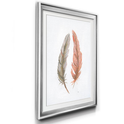 Soft Feathers - Natural History Print, Matted and Framed Under Acrylic Glass, Study and Living Room Wall Art