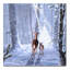 « Christmas Magic », peinture sur toile tendue-21938800