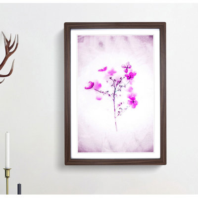 Hydrangeas in Abstract - Framed Print
