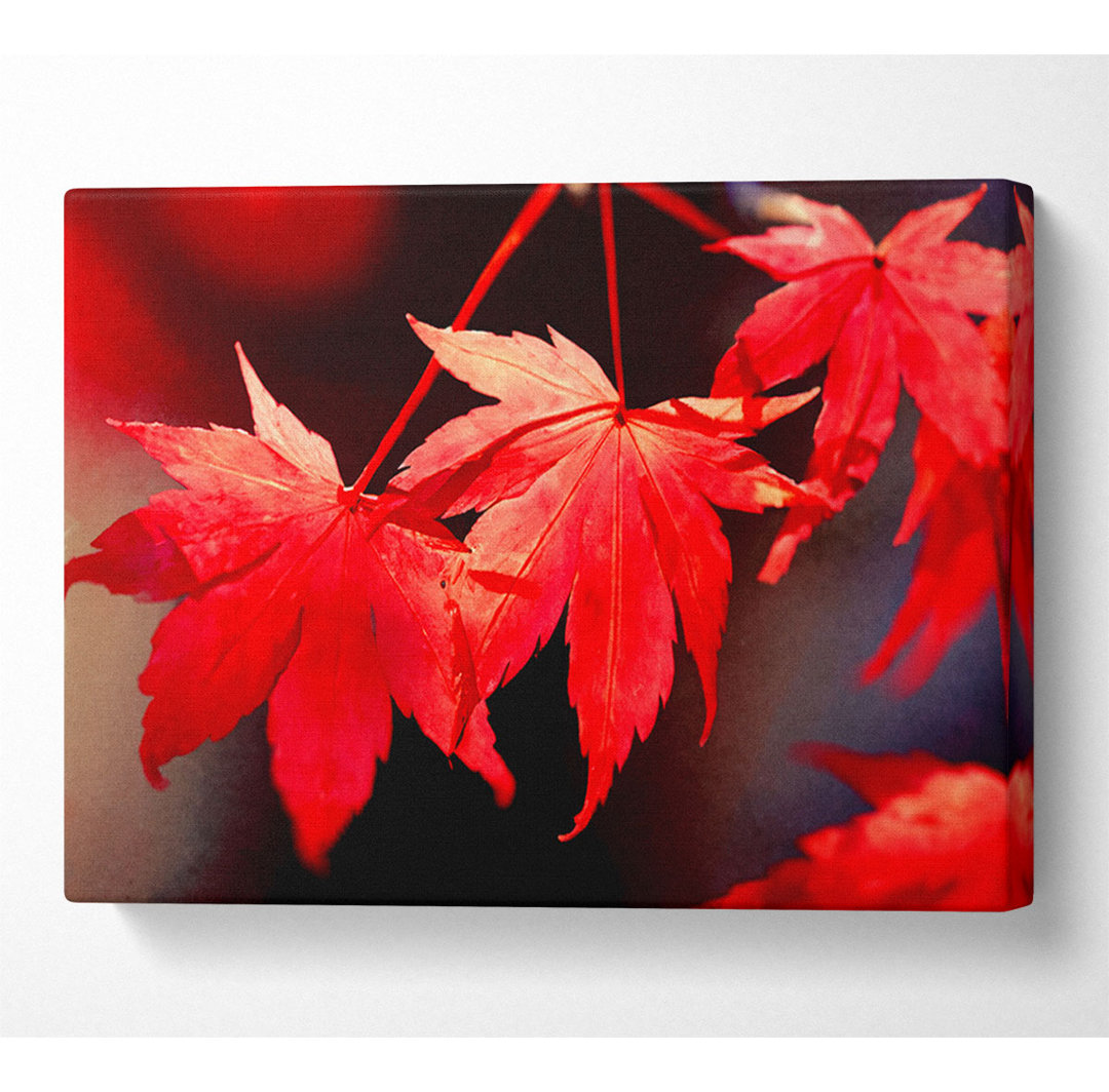 Winter Red Leaves - Kunstdrucke auf Leinwand