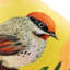 Housse de coussin en chenille à imprimé d'oiseaux colorés 18 x 18 pouces