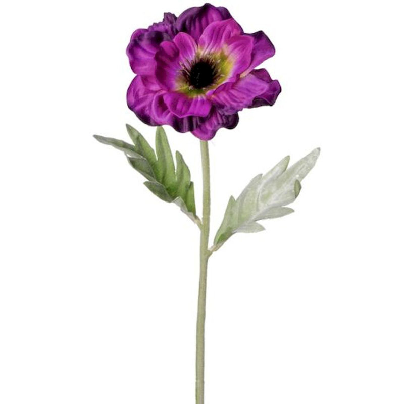 Tiges d'anémone, Mauve foncé