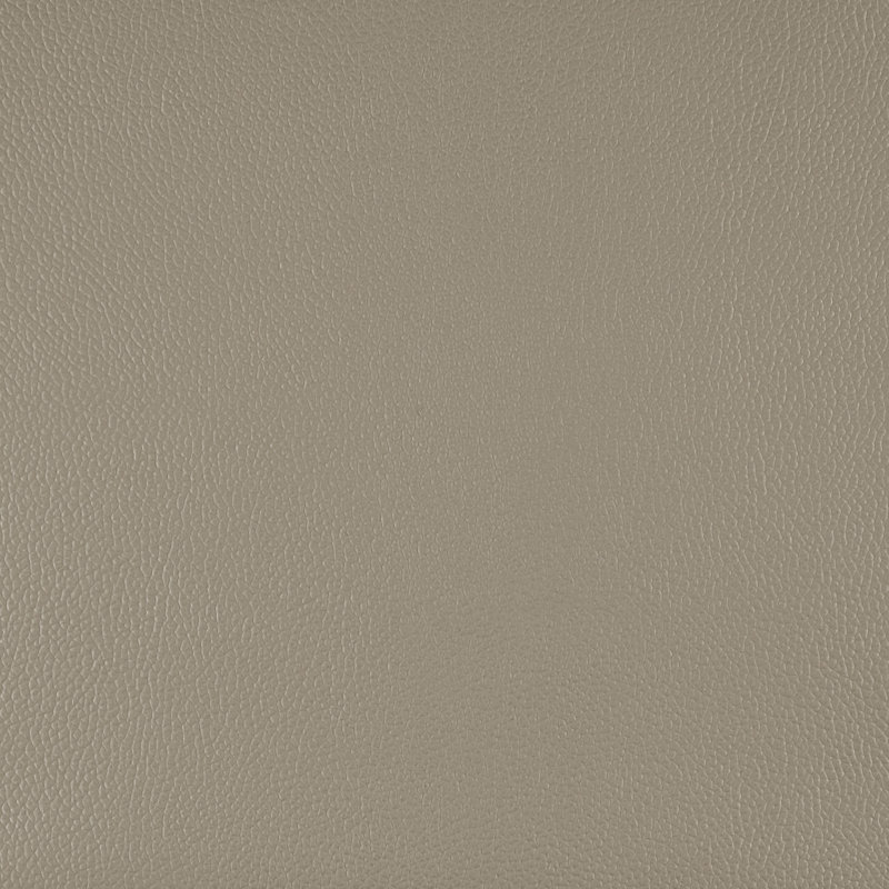 Upton 56'' Modern & Contemporary Top Grain Leather Loveseat with Durable Solid Wood & Plywood Frame, Beige Leather Match