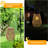 12.6'' Solar Powered Integrated LED Outdoor Hanging Light