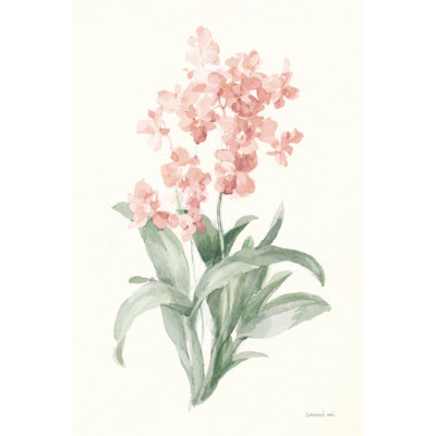 Orchidée de printemps I
