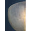 Dunnsville Wall Sconce