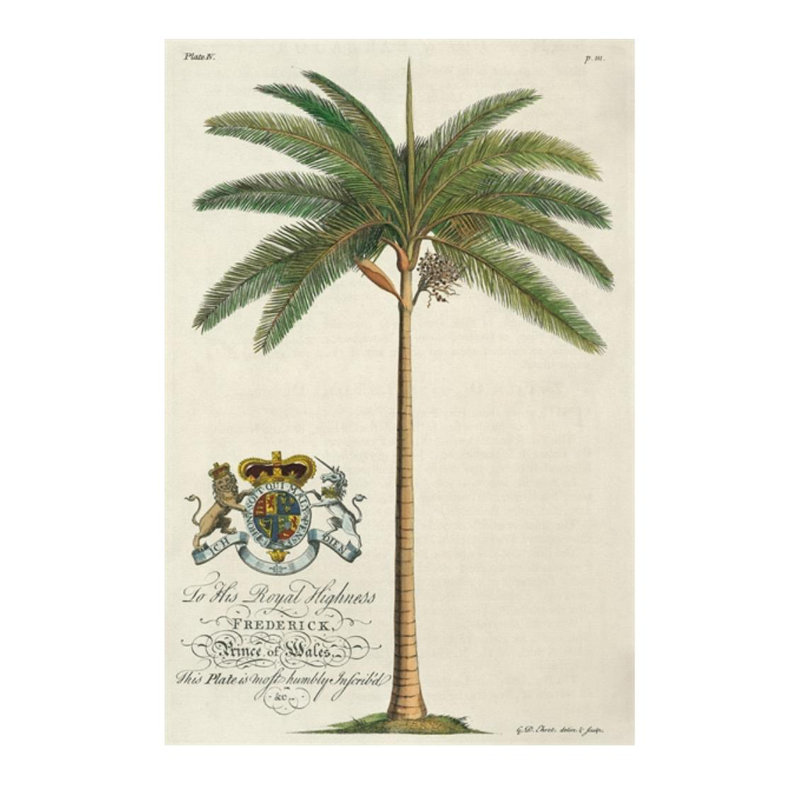 King Palm Print by Porter Design, 60" H x 40" W, Plexi