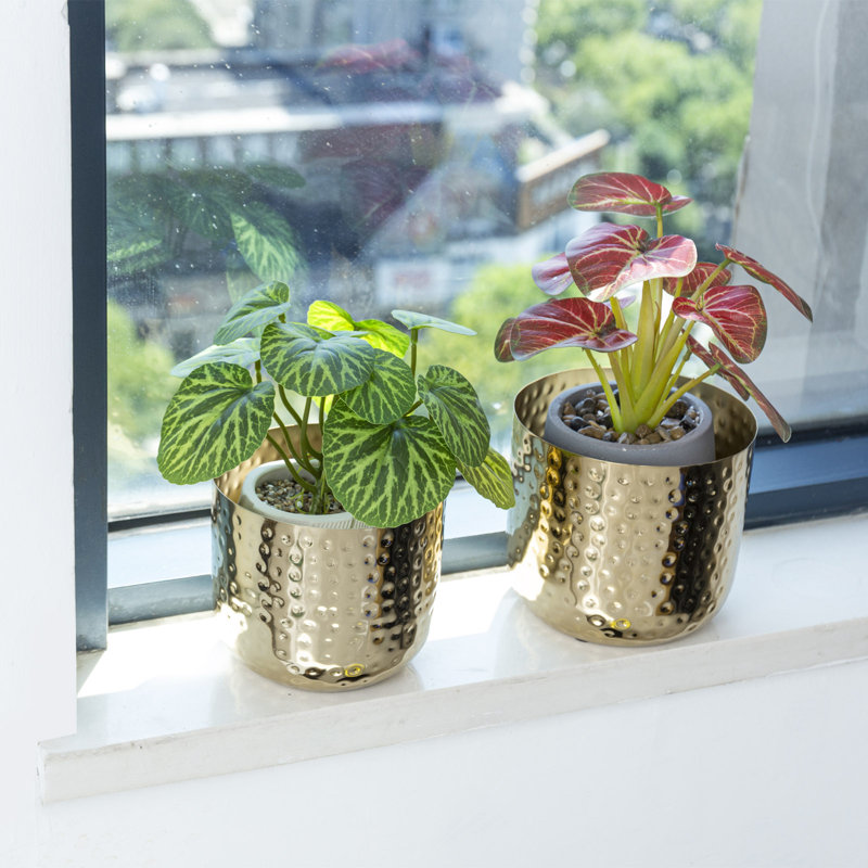 Ensemble de pots à fleurs 2 pièces Akio