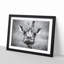 Wonderful Giraffe - Framed Print-56739750-56739751