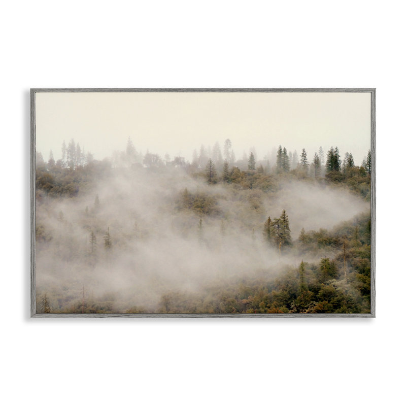 Morning Fog over Trees Framed Giclee, design by Gemma Bardot, Farmhouse Grey Framed Giclee, 20" H x 30" W