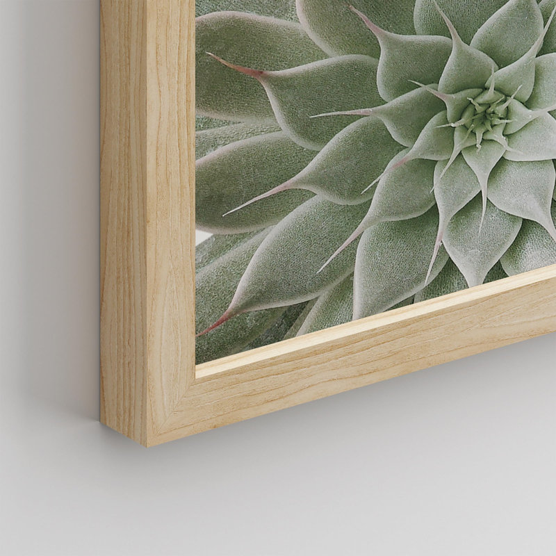 " Desert Succulent Close Up Echeveria Green Flower ", Natural, 14" H x 11" W