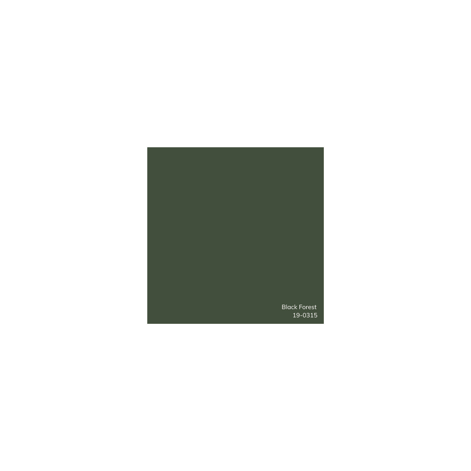 Edgar Throw Pillow, Dark Green, Polyester/Polyfill, 22"H x 22"W