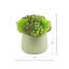 Rizal Faux Succulent in Fiberstone Pot-1299653788