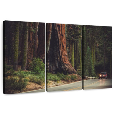 Harnek Sequoia Lined Highway