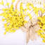 Couronne de bienvenue 24 po Forsythia-169070940