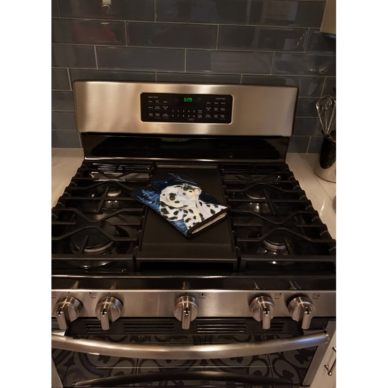 Red Barrel Studio® Bernadeta Polyester Oven Mitt