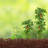 Brooker Plant Support