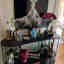 Photos des clients 1 de 1