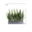 27" Potted Snake Plant - Natural-2116599304